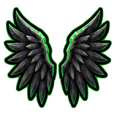 WINGS SYSTEM